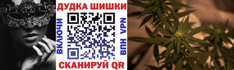Где можно купить наркотики Белозерск Кокаин  Псилоцибиновые грибы  Метадон  Бошки Шишки  Мефедрон  Alpha-PVP 