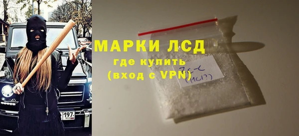 молекула духа Щигры