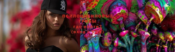 молекула духа Щигры