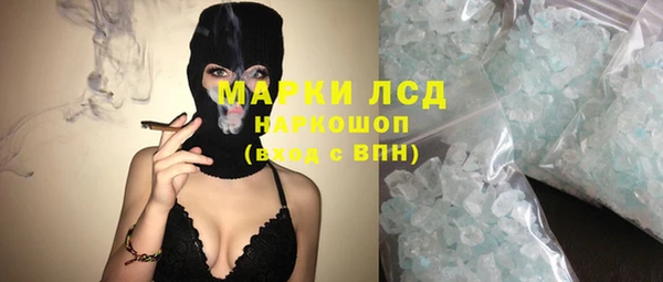 молекула духа Щигры