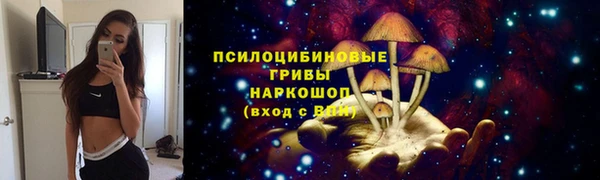 молекула духа Щигры