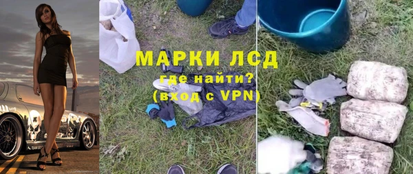 молекула духа Щигры