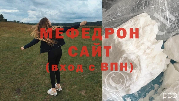 молекула духа Щигры