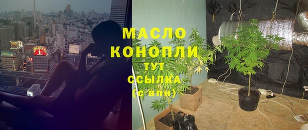 молекула духа Щигры