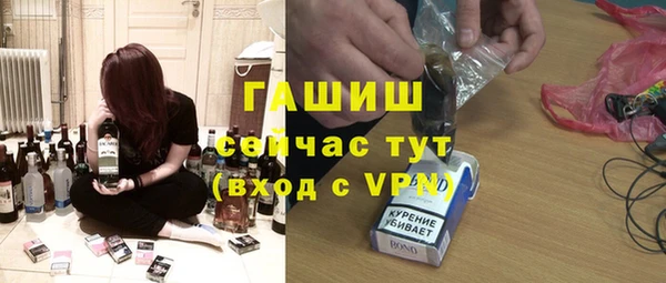 молекула духа Щигры