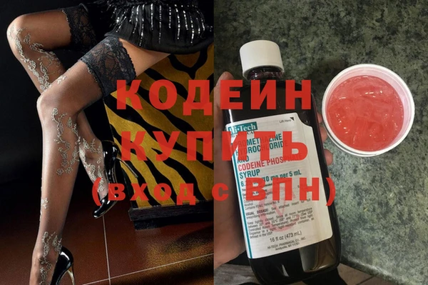 молекула духа Щигры