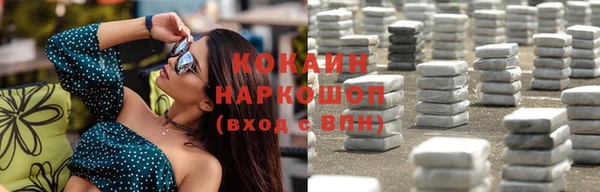 молекула духа Щигры