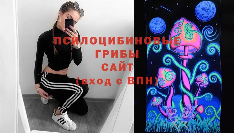 Галлюциногенные грибы Magic Shrooms  Белозерск 